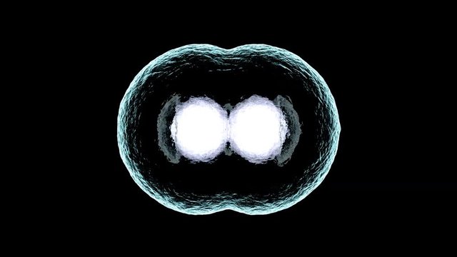 3D rendered Animation of the Mitosis and replication of a generic biological Cell.
