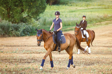 womans riding on a horse. Equestrian sportswoman jockey