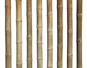 tiges de Bambous séchés