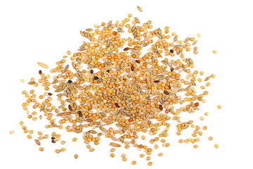 Mixed bird seed isolated on white