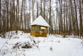 Holy spring of great Martyr Paraskeva in the winter woods.