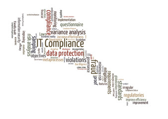 Fototapeta na wymiar IT compliance word cloud shaped as a key