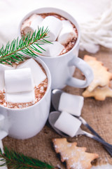 Obraz na płótnie Canvas Hot chocolate with marshmallows and cookies