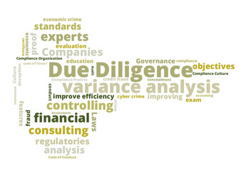 Due Diligence word cloud shaped as a key