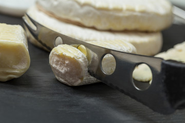 different sorts of cheese