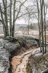 Forest in winter time, brunches and stairs, man standing backwar