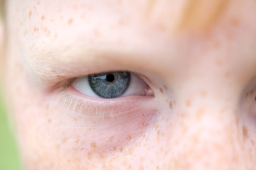 Obraz premium Close up of blue eye of child with freckles