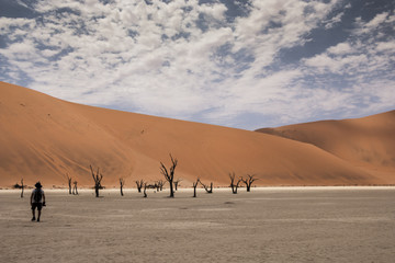 Fototapeta na wymiar Beautiful landscape of Deadvlei, Sossusvlei, Namibia