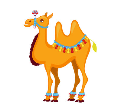 Illustration of cute decorated  camel cartoon. Vector illustration isolated on white background.