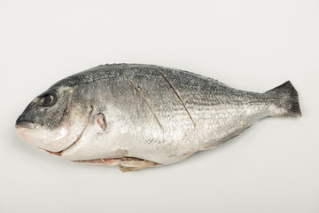 Raw trimmed fish prepared to be cooked. Horizontal studio shot