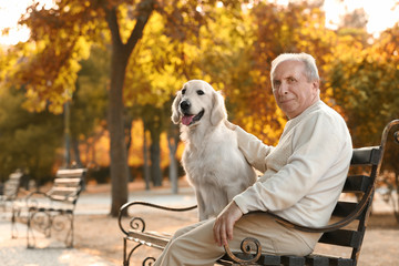 Senior man and big dog sitting on bench in park