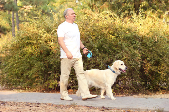 Senior Man And Big Dog Walking In Park