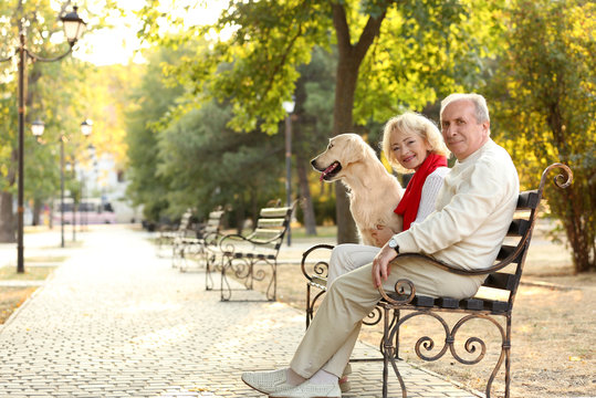 Senior couple and big dog sitting on bench in park