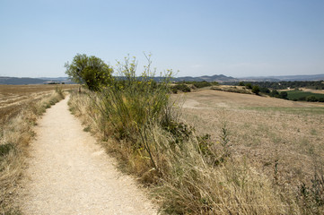 Camino de Santiago from Pamplona to Puente la Reina