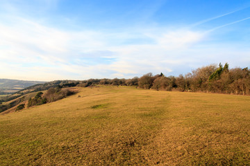 Surrey Countryside