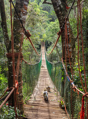 Naklejka premium Hanging bridge