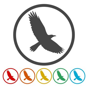 Crow icons set 