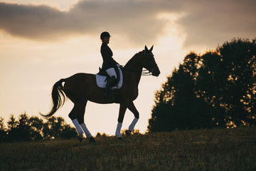 woman riding brown horse wearing helmet in field