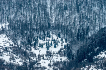 Small farm in the mountains in the winter forest. Texture of the winter forest.