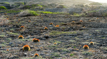 Shete Boka National park