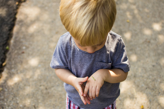 High angle view of boy looking at caterpillar on hand