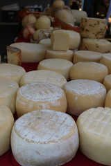 Italian cheese from Artena village near Rome, Italy