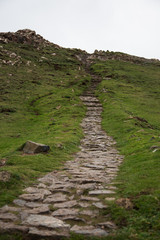 Stone path up a green hill