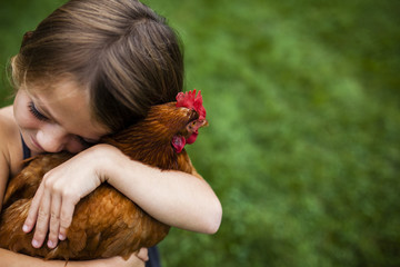 High angle view of cute girl embracing hen at yard