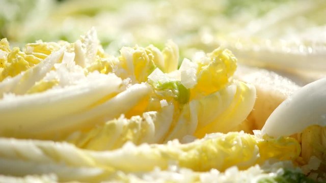 Salt pickled cabbage with droping salt.
