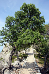Hiking the Ruta de Pedra en Seco (GR221), Mallorca, Spain