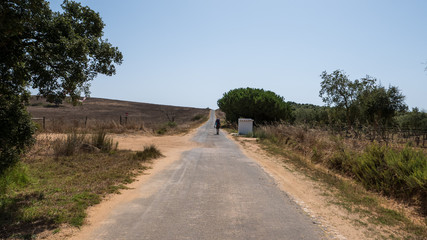 Fototapeta na wymiar Rural Road in the Algarve Countryside