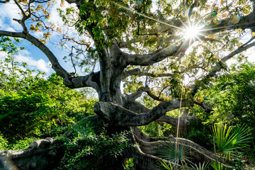 Hofi Pastor Nature Park
