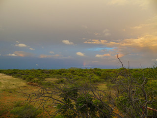 Fototapeta premium a rainy day in south africa