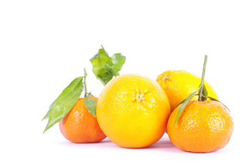 saftige Orange vor weißem Hintergrund