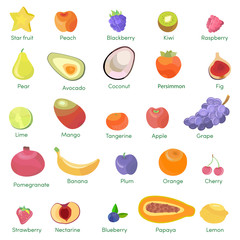 Set of colorful cartoon fruit icons apple, pear, strawberry, orange, peach, plum, banana, watermelon, pineapple, papaya, grapes, cherry, kiwi, lemon, mango. Vector illustration isolated on white.