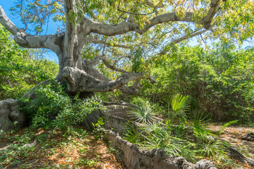 Hofi Pastor Nature Park