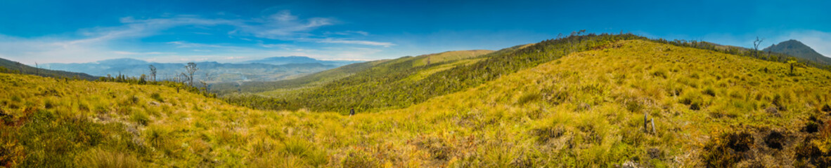 Fototapeta premium Fields of grass