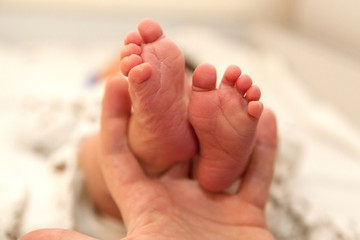 Infant heels in  mother's and fathers hands