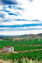 Naklejka premium Picturesque landscape of Spain
