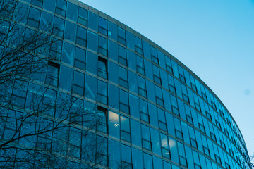 Fototapeta premium beautiful office glass facade in a curve