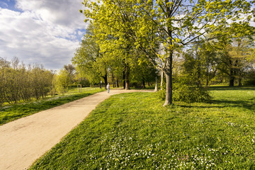 Frühling im Park