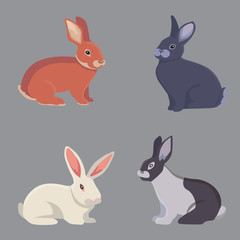 vector illustration of cartoon rabbits different breeds. Fine bunnys for veterinary design