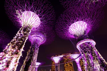 Gordijnen Giant trees light up in Singapore  © pop_gino