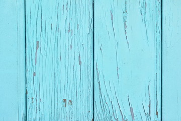 Wood background. Old mint wood background. design, Wood texture background.