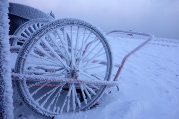 Frozen milk cart by the sea in Suomenlinna fortress island in Helsinki, Finland