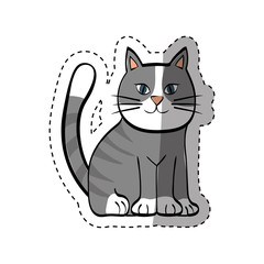 Cute cat cartoon icon vector illustration graphic design