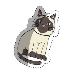 Cute cat cartoon icon vector illustration graphic design