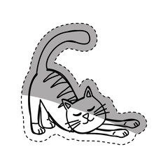 Cute cat cartoon icon vector illustration graphic design