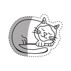 Cute cat cartoon icon vector illustration graphic design