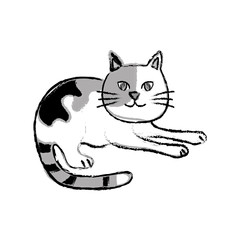 Cute cat cartoon icon vector illustration graphic design